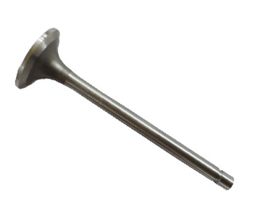 MT207241-20